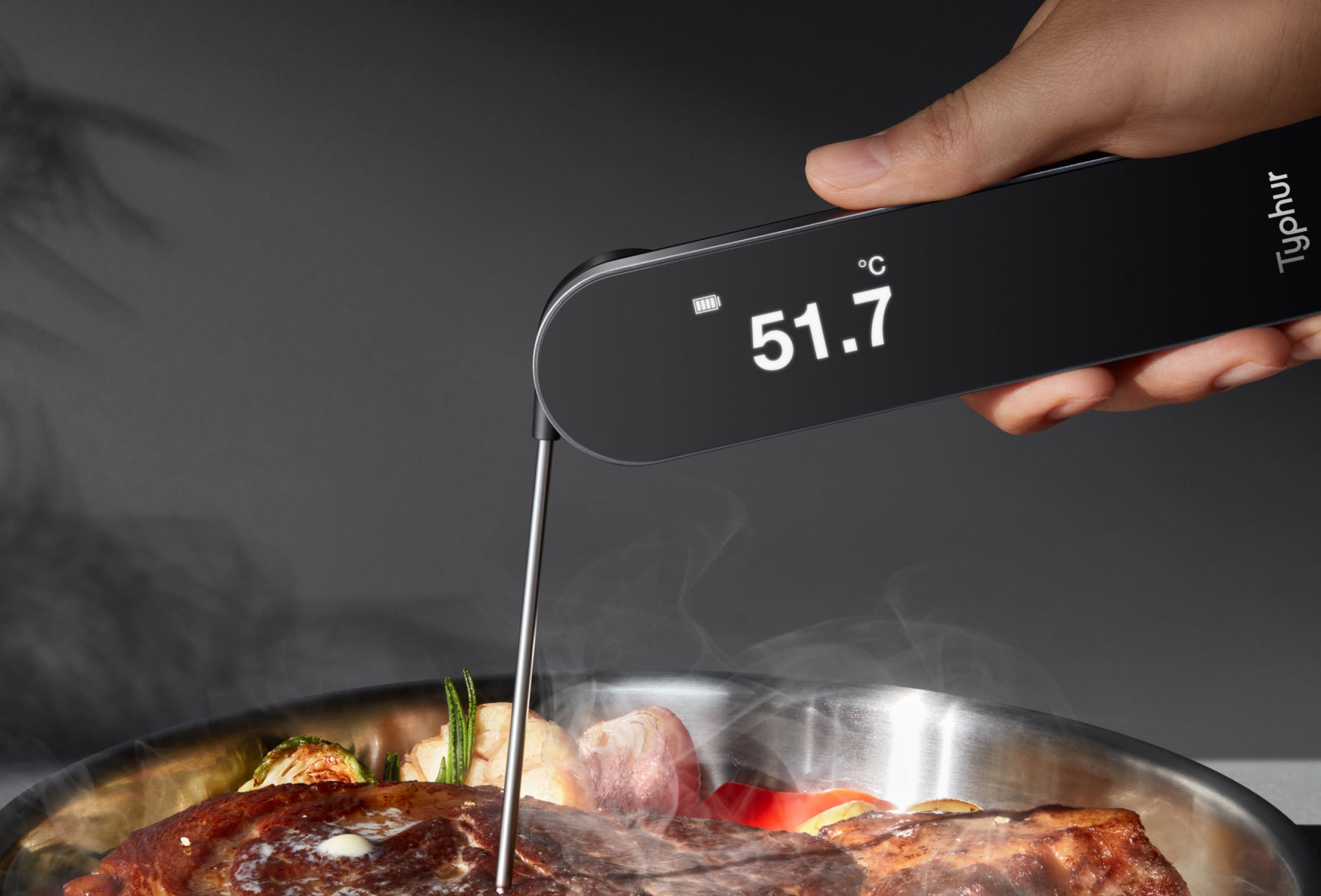 meat thermometer for steak